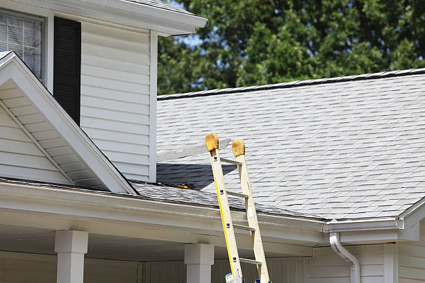 Best Hoarding Cleanup  in Eatonville, FL